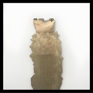 Luxxel Strapless Ruffled Champagne Tulle Gown